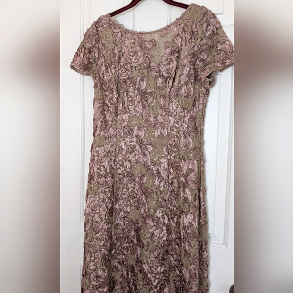 Alex Evenings Gorgeous Lace A-Line Gown - Picture 5 of 14